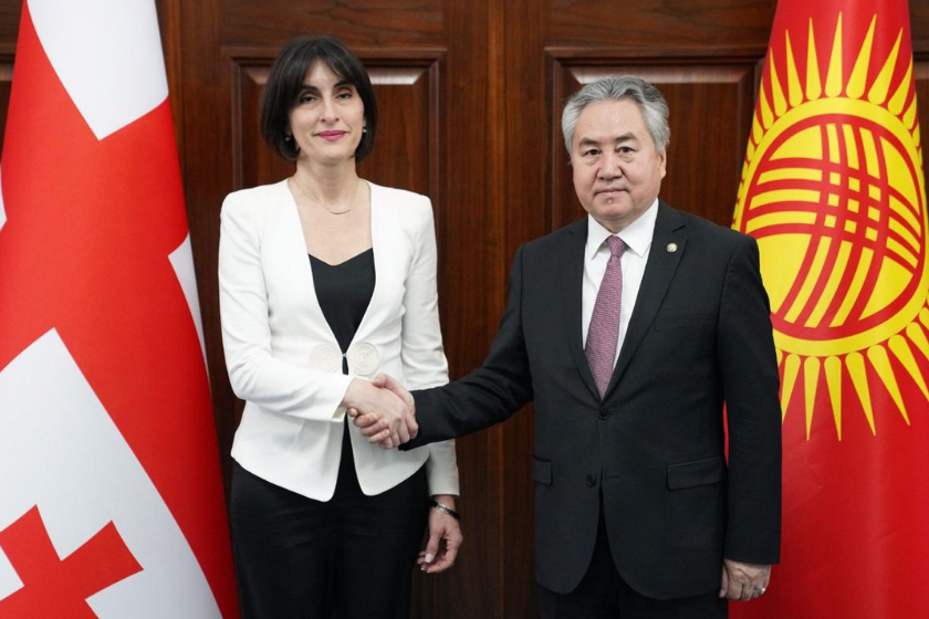 მაკა ბოჭორიშვილი ყირგიზეთის რესპუბლიკის საგარეო საქმეთა მინისტრს, ჟეენბეკ კულუბაევს შეხვდა