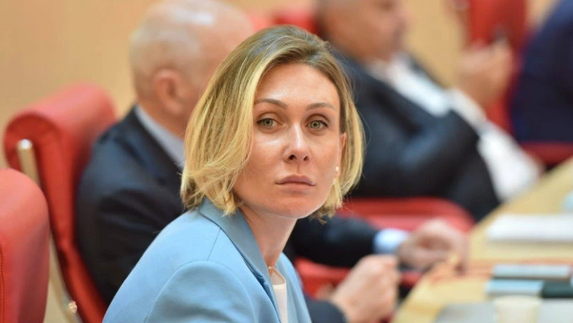ნინო წილოსანი: წარმოუდგენელია, რომ ქართველ ხალხს დამსახურებული თავისუფალი მიმოსვლა შეუზღუდო და აუკრძალო მხოლოდ იმიტომ, რომ შენი ბრმა იარაღი არ გახდა ეს ქვეყანა