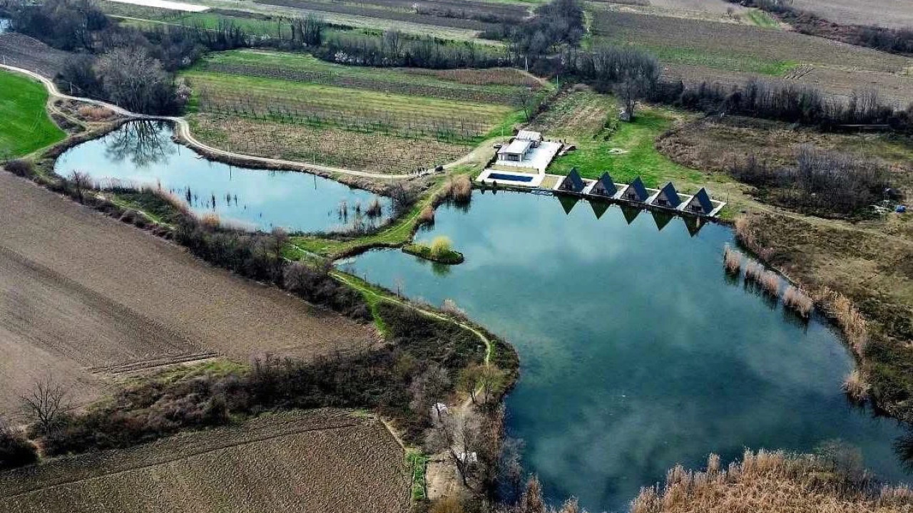 Lagodekhi Fishing Resort-ის დამფუძნებელი: ჩვენი ადგილმდებარეობის და სერვისი მრავალფეროვნების გათვალისწინებით შეიძლება ითქვას, რომ ამ ტერიტორიაზე კონკურენტი არ გვყავს