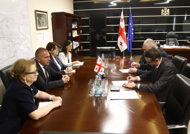 რევაზ სოხაძე საქართველოში სლოვაკეთის რესპუბლიკის საგანგებო და სრულუფლებიან ელჩს შეხვდა