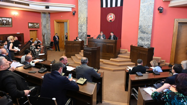 კომიტეტების ერთობლივ სხდომაზე "დასაქმების პოლიტიკის დაგეგმვისა და განხორციელების 2025 წლის ანგარიში" მოისმინეს
