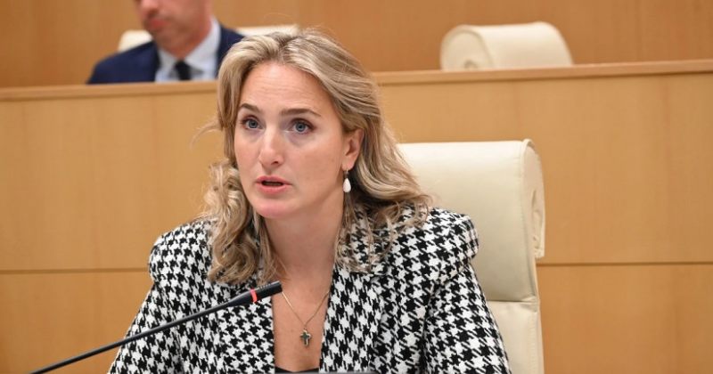 სასამართლომ მარიამ ლაშხის შეურაცხყოფისთვის მოქალაქე ალექსანდრე სელივრიას საქმე განიხილა