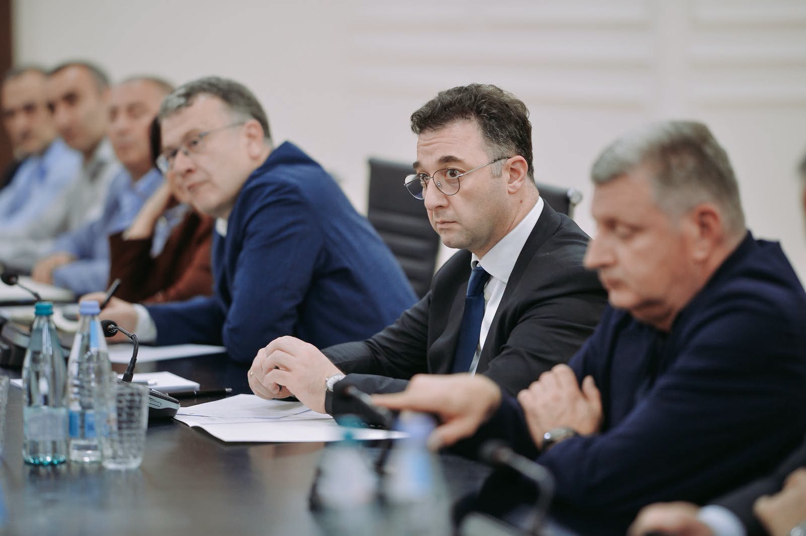 დავით სონღულაშვილი სასათბურე მეურნეობების წარმომადგენლებს შეხვდა