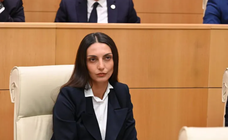 ვიკა ფილფანი: მანდატი არ არის ინდულგენცია სისხლის სამართლის დანაშაულის ჩადენისას, არც სპორტული ტიტულებია ძალადობის საშვი, სისტემურ დაუსჯელობას ახალისებს მაღალჩინოსანთა დაუსჯელობა