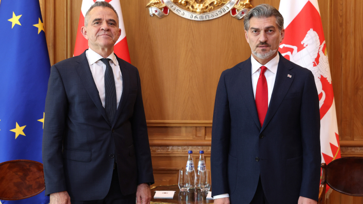 პრეზიდენტი მიხეილ ყაველაშვილი საქართველოში ბულგარეთის ელჩს ვესელინ ვალკანოვს შეხვდა