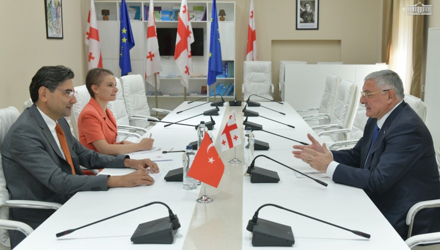 გიორგი ჭყონია თურქეთის რესპუბლიკის ელჩს შეხვდა