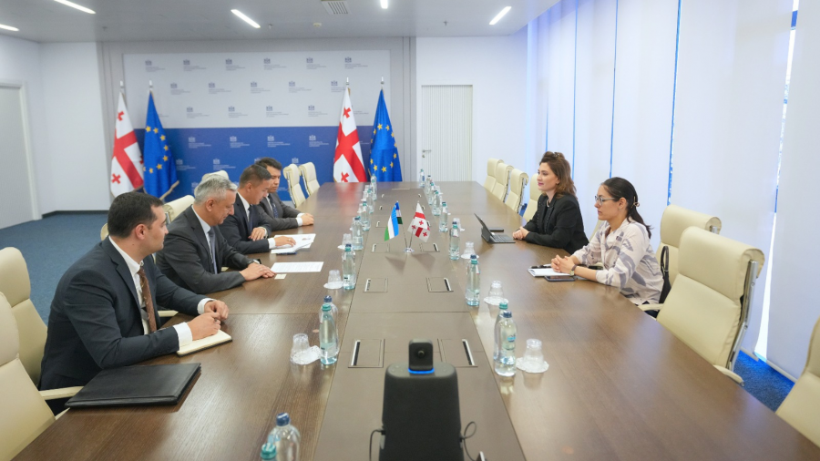 თამარ იოსელიანი უზბეკეთის ტრანსპორტის მინისტრის პირველ მოადგილეს მამანბი ომაროვს შეხვდა