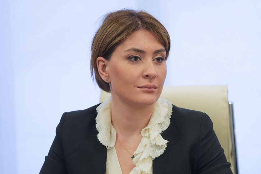 ეკონომიკისა და მდგრადი განვითარების მინისტრის მოადგილე თამარ იოსელიანი გაეროს საერთაშორისო საზღვაო ორგანიზაციის (IMO) გენერალურ მდივანს, არსენიო დომინგესს შეხვდა
