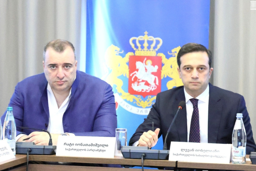 რატი იონათამიშვილმა საქართველოს სახალხო დამცველის ორგანიზებით გამართულ სამუშაო შეხვედრაში მიიღო მონაწილეობა