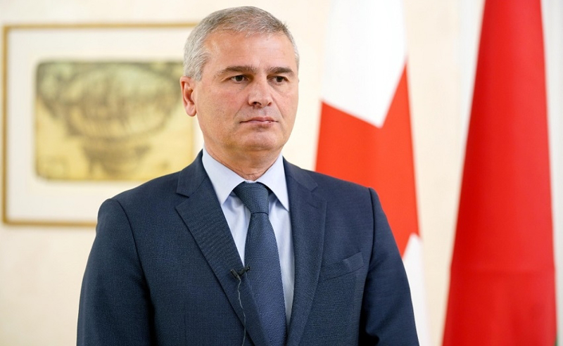 ირაკლი ქადაგიშვილი – ჯო უილსონის მიზანია, ვიდრე ცოცხალია, საქართველოს წინააღმდეგ მაქსიმალური ნეგატივი გააჩინოს და ნებისმიერი საერთაშორისო პლატფორმა გამოიყენოს