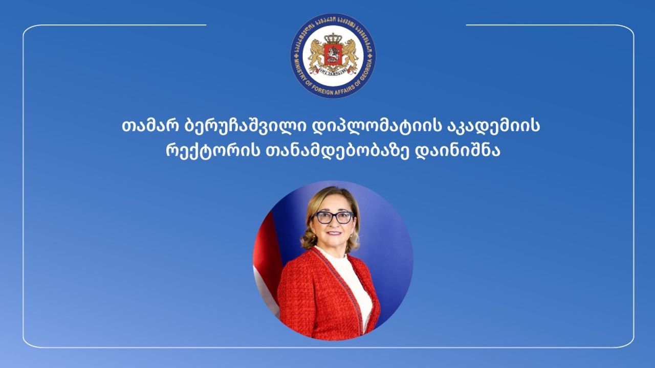 დიპლომატიის აკადემიის რექტორის თანამდებობაზე თამარ ბერუჩაშვილი დაინიშნა