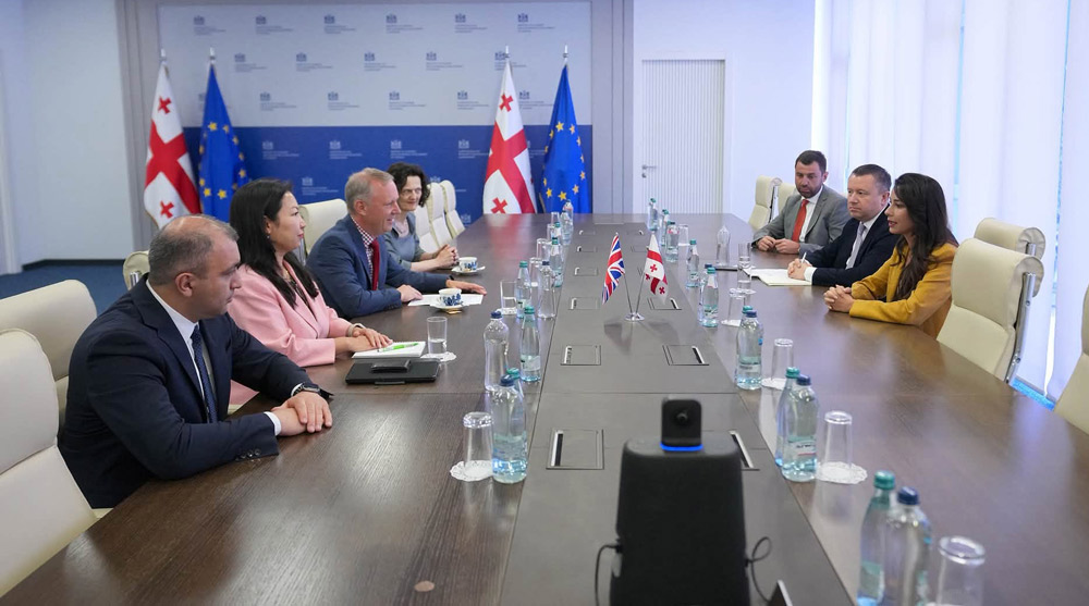 მარიამ ქვრივიშვილი დიდი ბრიტანეთის ელჩსა და ლონდონის საფონდო ბირჟის ევროპის მიმართულების ხელმძღვანელს შეხვდა