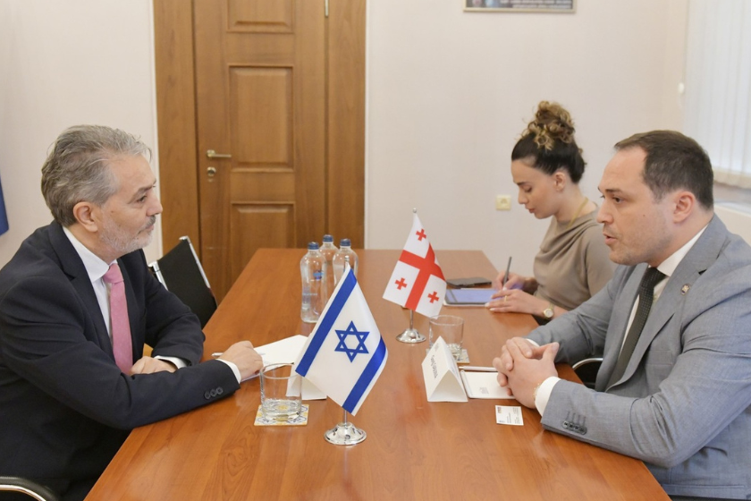 გიორგი გაბუნია საქართველოში ისრაელის საგანგებო და სრულუფლებიან ელჩს შეხვდა