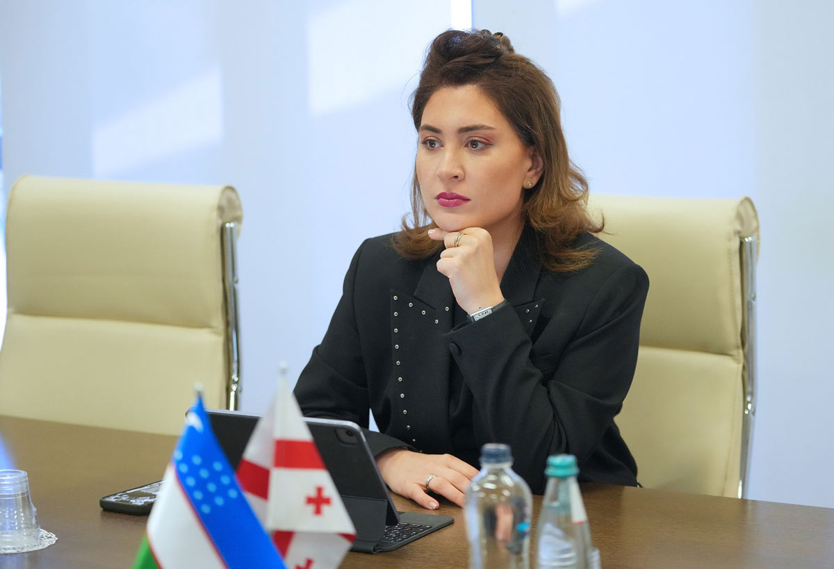 თამარ იოსელიანი – ინტერესი ძალიან მაღალია დასავლური კომპანიებიდან, მეზობელი ქვეყნებიდან, ცენტრალური აზიიდან, დარწმუნებული ვართ, ყველა ინტერესის გათვალისწინებით, ანაკლიის პორტი იქნება წარმატებული