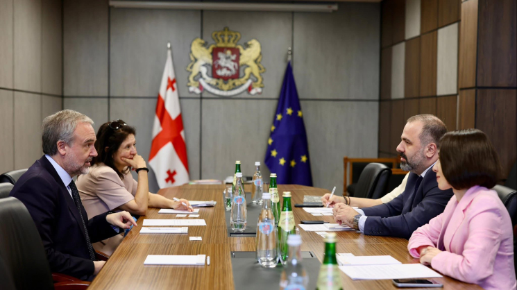 კულტურის მინისტრის მოადგილე კერძო სამართლის უნიფიკაციის საერთაშორისო ინსტიტუტის გენერალურ მდივანსა და მდივნის მოადგილეს შეხვდა