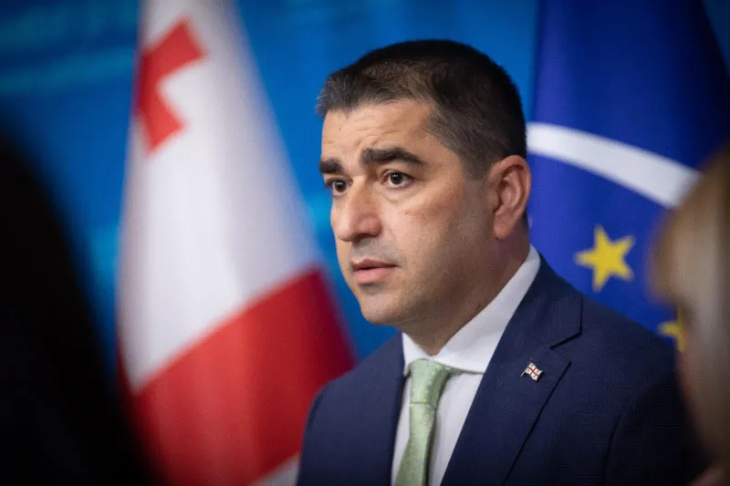 შალვა პაპუაშვილი ონისე ცხადაძის ძმაზე: მისი ძმა იყო ბავშვებს რომ შეუვარდა სკოლაში, პარლამენტს რომ წვავდნენ და ძალადობდნენ პოლიციელებზე ამაში უნდოდა ბავშვების ჩაბმა