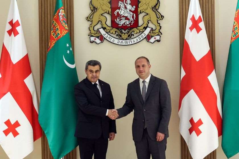 გივი მიქანაძემ თურქმენეთის განათლების მინისტრს უმასპინძლა