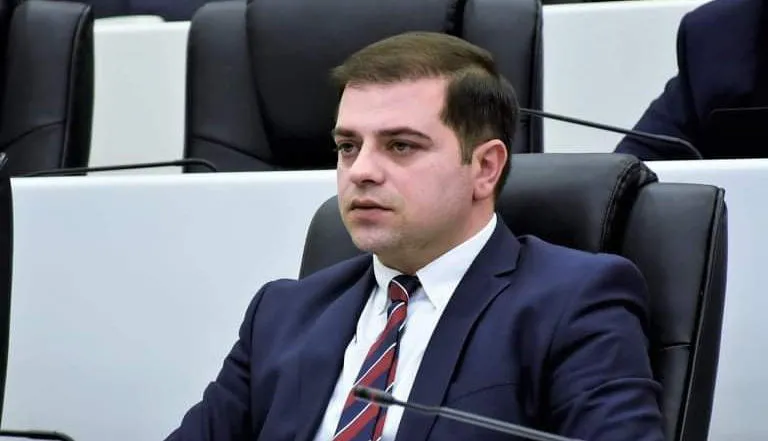 ცოტნე ანანიძე: აზიასთან თანამშრომლობის კრიტიკით ოპოზიცია არა ხელისუფლებას, არამედ საქართველოს ეკონომიკასა და პოლიტიკას აზიანებს
