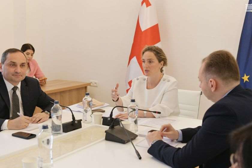 პარლამენტში სახელმწიფო ენის დაცვისა და განვითარების ხელშეწყობის სამუშაო ჯგუფის შეხვედრა გაიმართა