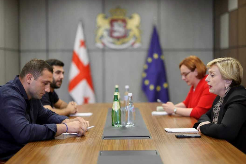 თინათინ რუხაძემ და საქართველოს პარლამენტის წევრმა, „ქართული ოცნების“ ახალგაზრდული ორგანიზაციის თავმჯდომარემ, ვარლამ ლიპარტელიანმა ახალგაზრდა თაობის კულტურულ პროექტებში აქტიური ჩართვის საკითხებზე სამუშაო შეხვედრა გამართეს