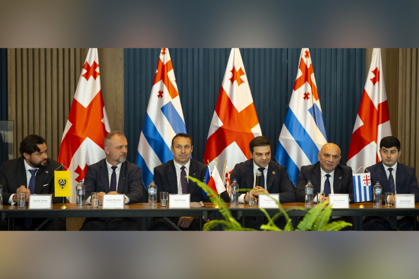 ცოტნე ანანიძემ ქვემო სილეზიის სავოევოდოს მარშალის, პაველ განცარჟის ხელმძღვანელობით ჩამოსულ 26-წევრიან დელეგაციას უმასპინძლა