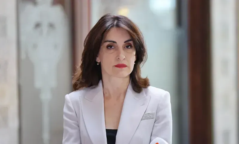მაკა ბოჭორიშვილი: პოზიტიური მომენტია, როდესაც ჩვენს ელჩს ექნება შესაძლებლობა გადასცეს რწმუნებათა სიგელები გერმანიის პრეზიდენტს და ის სრულუფლებიანად შეუდგეს საქმიანობას გერმანიაში. მე იმედი მაქვს რომ ეს იქნება პოზიტიური გადატვირთვის შესაძლებლობა გერმანიასთან ურთიერთობების