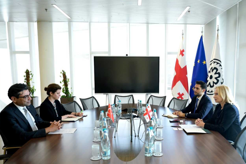 ნათია თურნავა თურქეთის რესპუბლიკის ელჩს საქართველოში მუსტაფა თურქერ არის შეხვდა