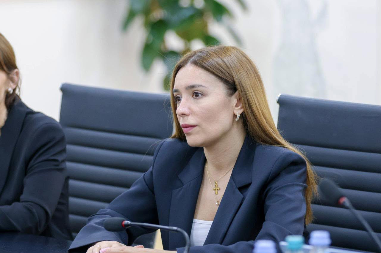 ნინო თანდილაშვილი კლიმატის მწვანე ფონდის ეთიკისა და აუდიტის კომიტეტის თავმჯდომარედ აირჩიეს