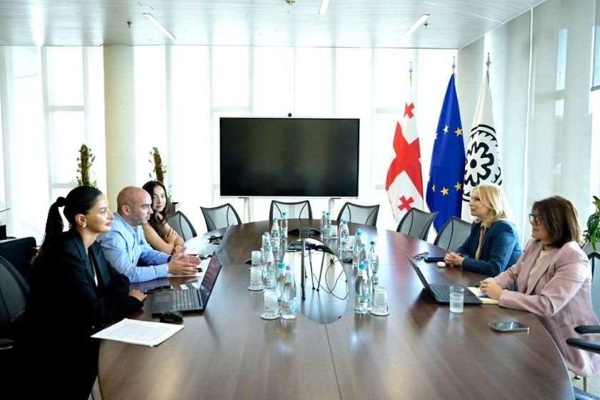 საქართველოს ეროვნული ბანკის პრეზიდენტი ნათია თურნავა და ვიცე-პრეზიდენტი ნინო ჯელაძე საქართველოს ფინტექ ასოციაციის თავმჯდომარეს შეხვდნენ