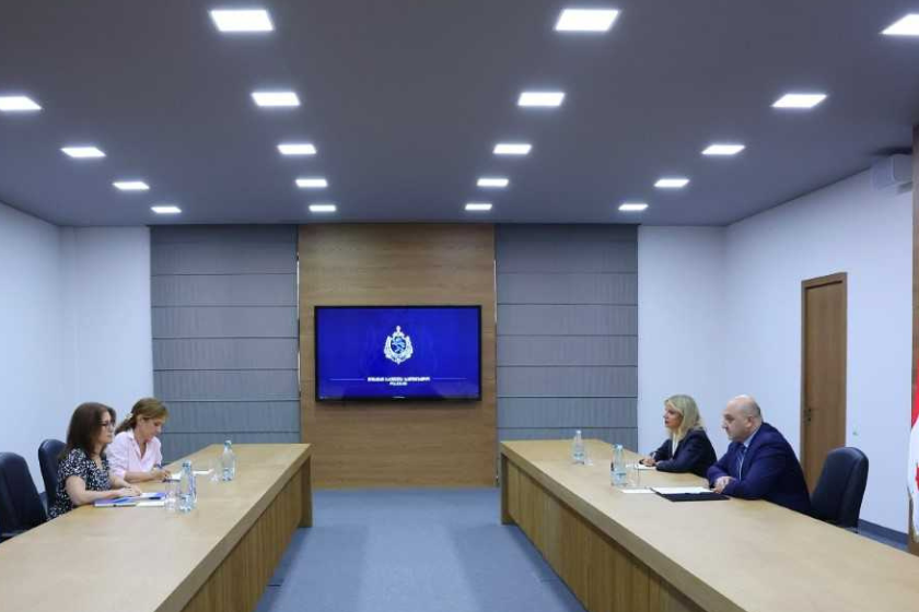 შინაგან საქმეთა მინისტრის მოადგილემ საქართველოში გაეროს ლტოლვილთა უმაღლესი კომისარიატის წარმომადგენელთან სამუშაო შეხვედრა გამართა