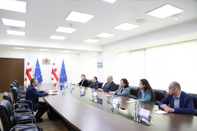 მიხეილ სარჯველაძე სილვიუ დომენტეს შეხვდა, რომელიც საქართველოში ჯანმრთელობის მსოფლიო ორგანიზაციის წარმომადგენლობის ხელმღვანელის პოზიციაზე თავის მისიას ასრულებს