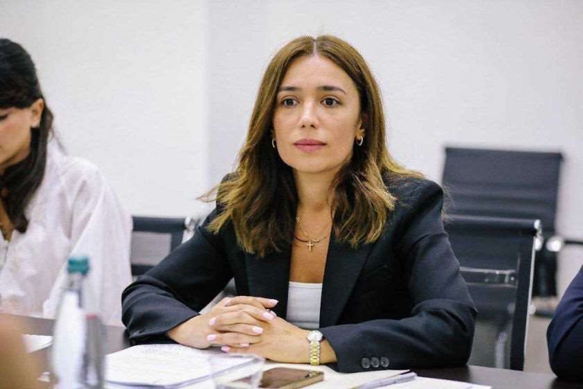 ნინო თანდილაშვილი: სახელმწიფომ ყველაფერი გააკეთა, რათა შოვის ტრაგედიასთან დაკავშირებულ თითოეულ შეკითხვას ამომწურავი პასუხი გასცემოდა