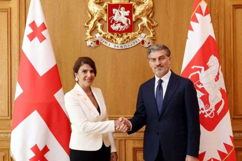 საქართველოს პრეზიდენტი მექსიკის შეერთებულ შტატებში საქართველოს ახლად დანიშნულ საგანგებო და სრულუფლებიან ელჩს შეხვდა