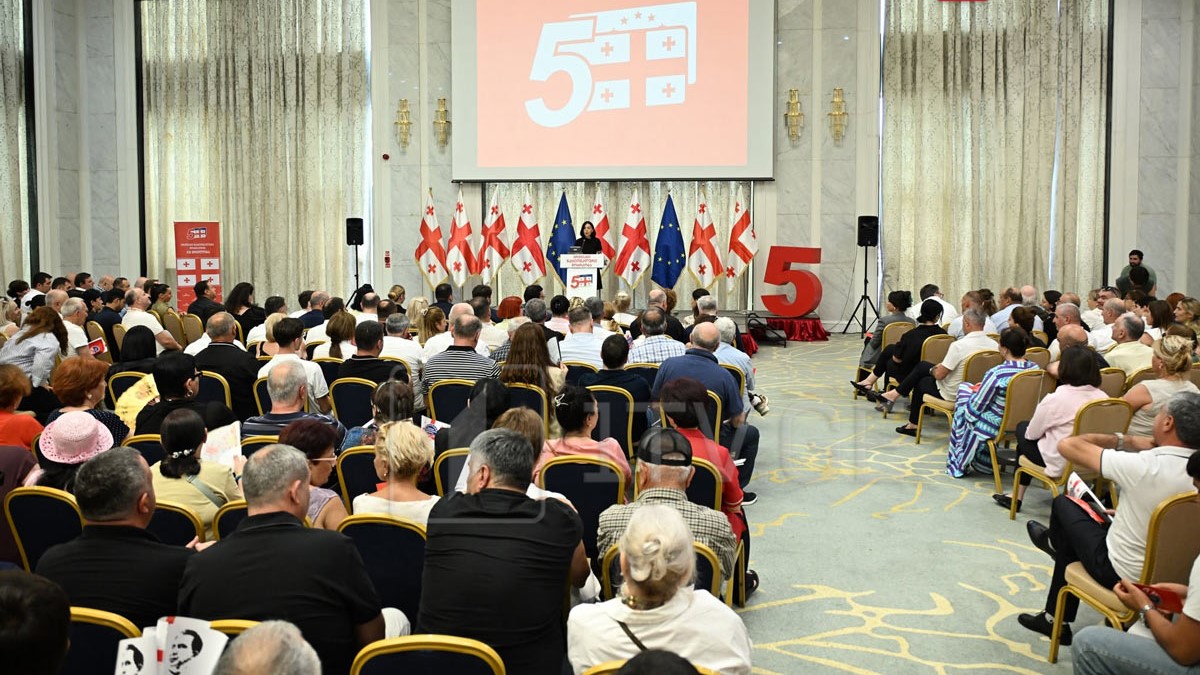 „ნაციონალური მოძრაობის“ დროებითი მმართველი საბჭოს თავმჯდომარე ირაკლი ფავლენიშვილი იქნება, რეფორმების საბჭოს თავმჯდომარე – მიხეილ სააკაშვილი, ხოლო აღმასრულებელი მდივანი – ნანუკა ჟორჟოლიანი