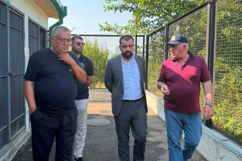 ლაშა ავალიანი გურჯაანის ინტერმუნიციპალურ თავშესაფარში ძაღლების ჰიპერპოპულაციის მართვის პროგრამის მიმდინარეობას გაეცნო