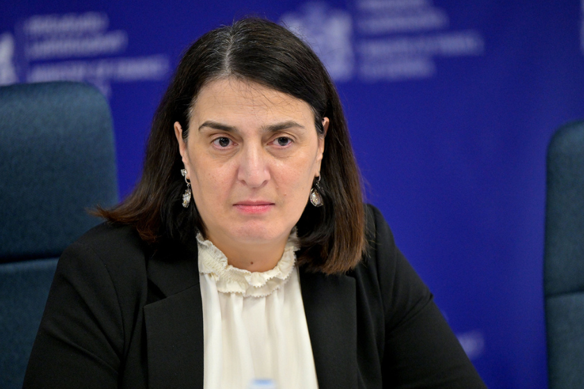 ეკატერინე მიქაბაძე: საქართველოს საერთაშორისო რეზერვები ისტორიულ მაქსიმუმზეა და 7.5 მილიარდ აშშ დოლარს აღემატება