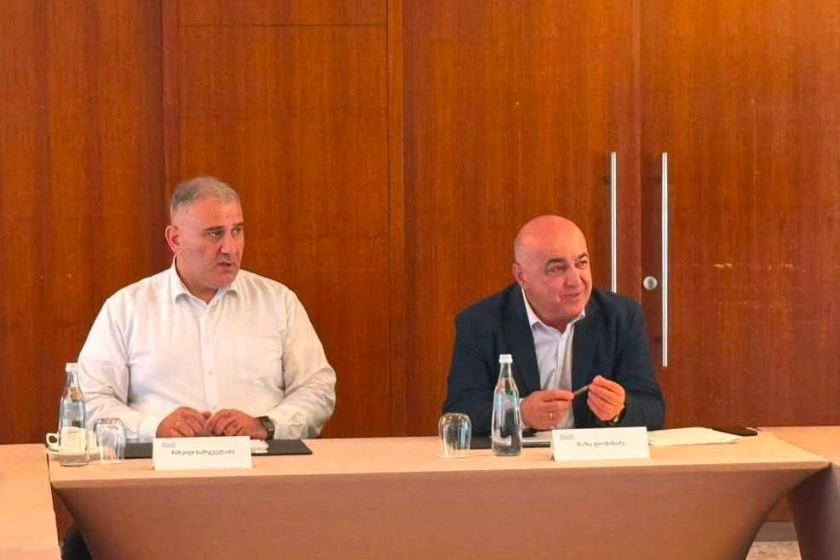 ჯანმრთელობის დაცვისა და სოციალურ საკითხთა კომიტეტმა ბორჯომში სამუშაო შეხვედრა გამართა