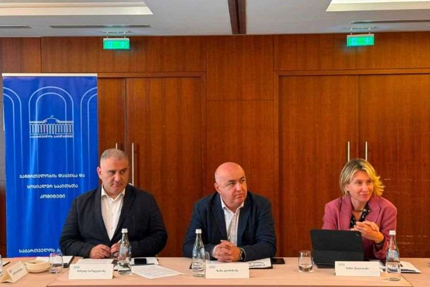 ბავშვიანი ოჯახების სოციალურ-ეკონომიკური მდგომარეობის გაუმჯობესების ხელშემწყობი რეკომენდაციების შემუშავების მიზნით შექმნილმა სამუშაო ჯგუფმა ბორჯომში ორდღიანი გასვლითი შეხვედრა გამართა