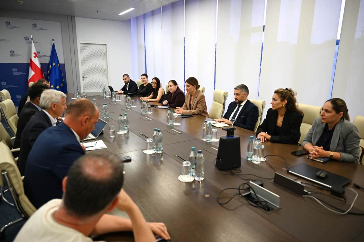 თამარ იოსელიანი თბილისის ახალი აეროპორტის ტექნიკურ-ეკონომიკური კვლევის განმახორციელებელი საერთაშორისო საკონსულტაციო კომპანიის წარმომადგენლებს შეხვდა