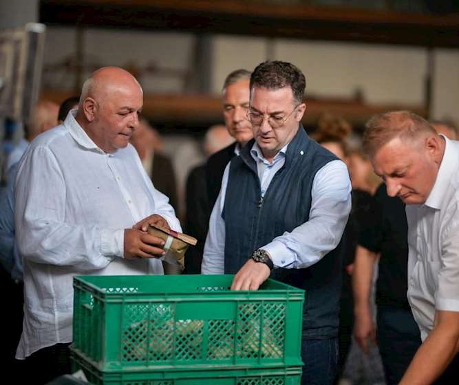 დავით სონღულაშვილი: განსაკუთრებული მნიშვნელობა აქვს როგორც ქართული ხორბლის წარმოების ზრდას, ასევე ქართული ჯიშების შენარჩუნებას