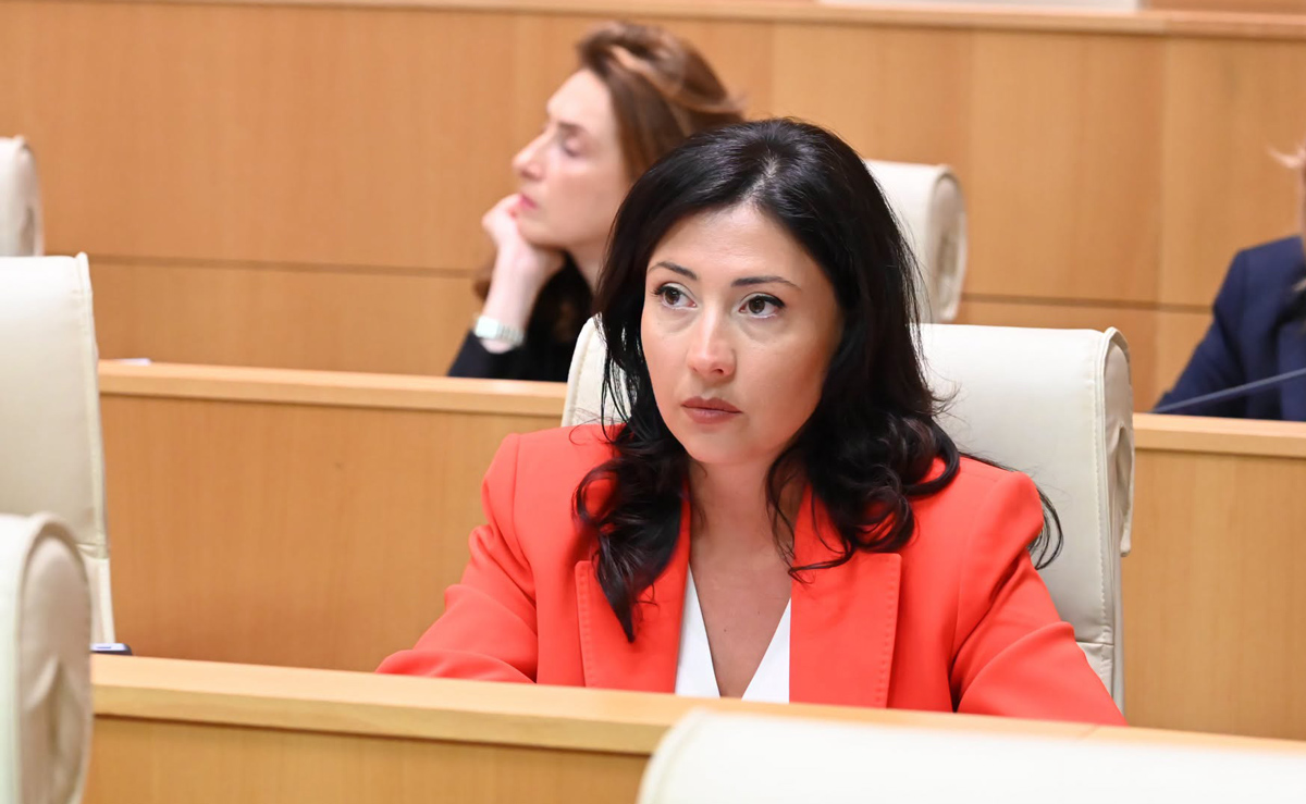 ტატა ხვედელიანი – „ოცნება“ დღეს განათლების სისტემის ფუნდამენტურ პრობლემებს გაურბის და აგრესიული უვიცობით ახალგაზრდობას კიდევ უფრო ურთულებს ისედაც მძიმე ყოფას