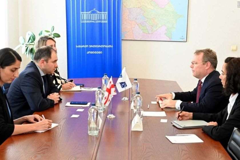 ნიკოლოზ სამხარაძე ეროვნულ უმცირესობათა საკითხებში ეუთო-ს უმაღლეს კომისარს შეხვდა
