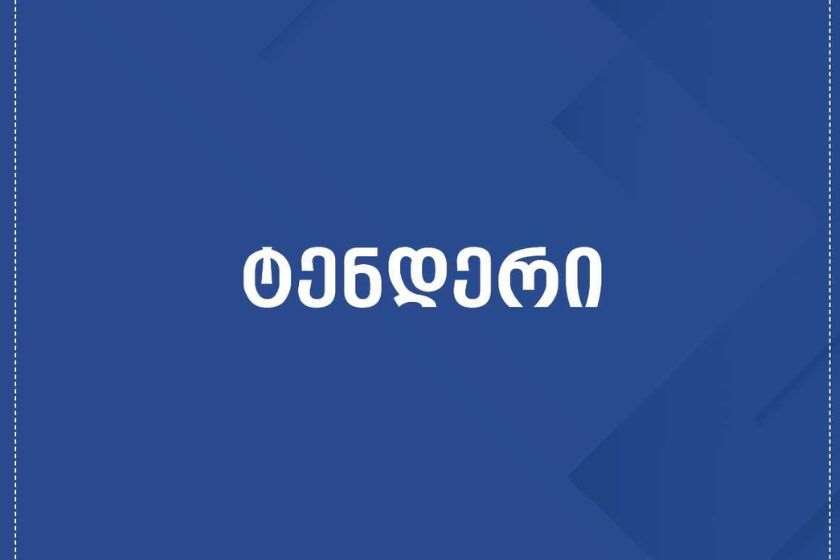 გზების დეპარტამენტმა ნაპირაღდგენითი სამუშაოებისთვის ახმეტისა და ლაგოდეხის მუნიციპალიტეტებში 3 ელექტრონული ტენდერი გამოაცხადა