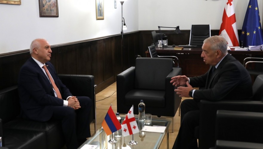 გიორგი ვოლსკი სომხეთის რესპუბლიკის ელჩს შეხვდა