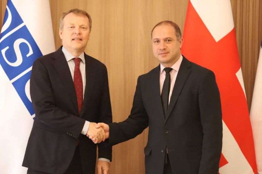 გივი მიქანაძე ეროვნულ უმცირესობათა საკითხებში ეუთოს უმაღლეს კომისარს შეხვდა