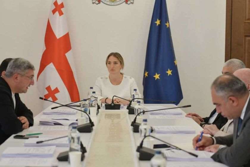 განათლების, მეცნიერებისა და ახალგაზრდულ საქმეთა კომიტეტმა საქართველოს 2026 წლის სახელმწიფო ბიუჯეტის შესრულების 6 თვის ანგარიში მოისმინა