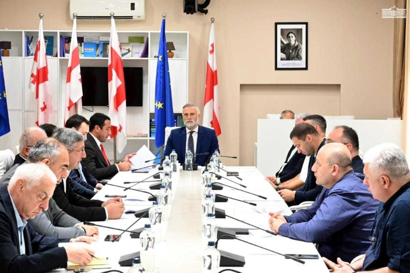 სპორტის კომიტეტის წევრები 2026 წლის სახელმწიფო ბიუჯეტის შესრულების 6 თვის ანგარიშს გაეცნენ