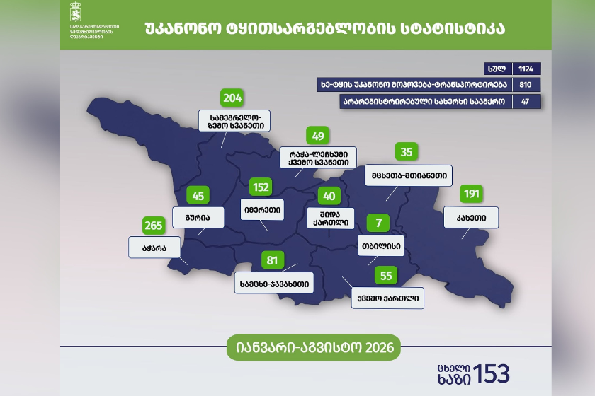 გარემოსდაცვითი ზედამხედველობის დეპარტამენტმა 8 თვეში უკანონო ტყითსარგებლობის 1124 ფაქტი გამოავლინა