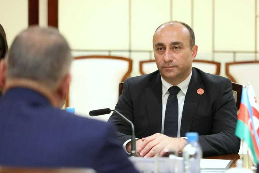 ჩინეთში ოფიციალური ვიზიტის ფარგლებში გეკა გელაძე ალი ნაგიევს შეხვდა