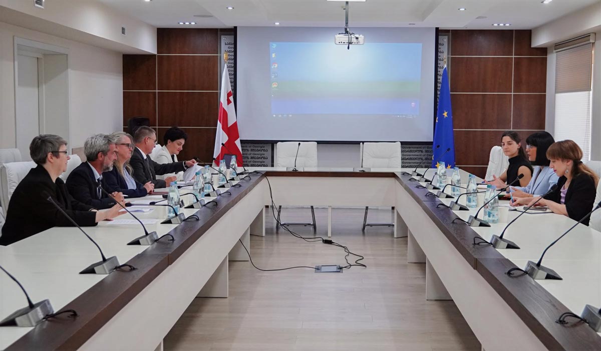 თეა ახვლედიანი წითელი ჯვრის საერთაშორისო კომიტეტის ევროპისა და ცენტრალური აზიის ოპერაციების კოორდინატორს, დენა ფიშერს შეხვდა